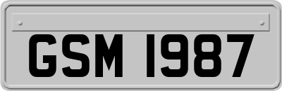 GSM1987