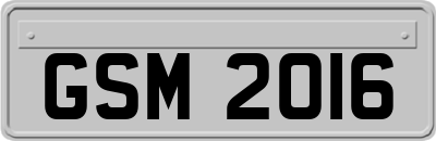 GSM2016