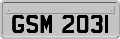 GSM2031
