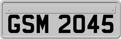 GSM2045