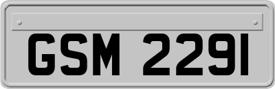 GSM2291