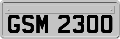 GSM2300