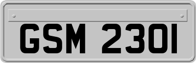 GSM2301
