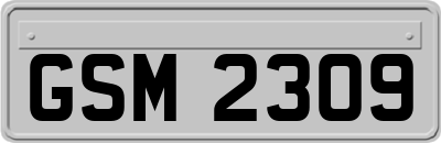 GSM2309