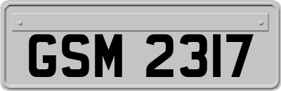 GSM2317