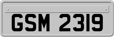 GSM2319