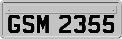 GSM2355