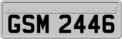 GSM2446