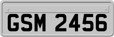 GSM2456