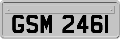 GSM2461