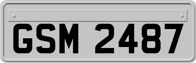 GSM2487