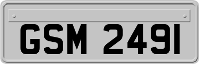 GSM2491