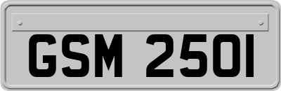 GSM2501