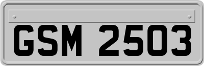 GSM2503