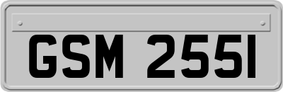 GSM2551
