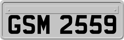GSM2559