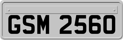GSM2560