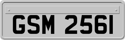 GSM2561
