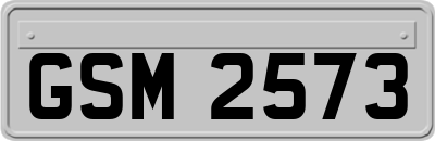 GSM2573