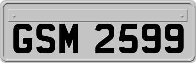 GSM2599