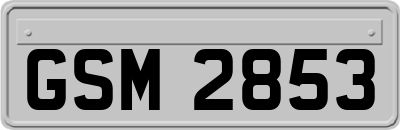 GSM2853