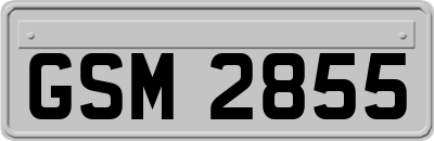GSM2855