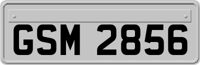 GSM2856