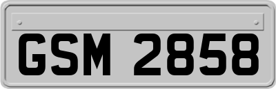 GSM2858