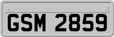GSM2859