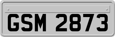 GSM2873
