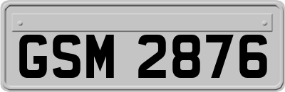 GSM2876