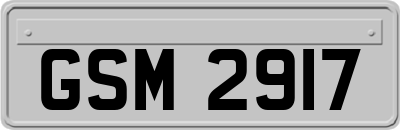 GSM2917