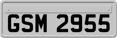 GSM2955