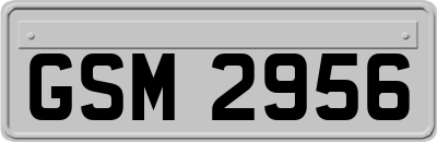 GSM2956
