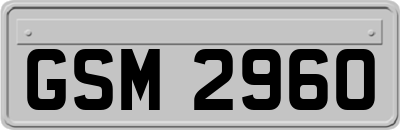 GSM2960