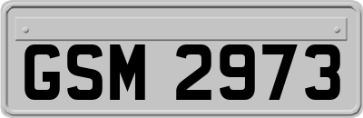 GSM2973