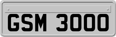 GSM3000