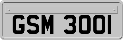 GSM3001
