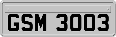 GSM3003
