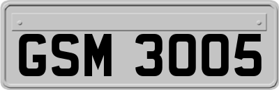 GSM3005