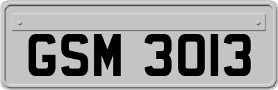 GSM3013