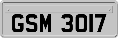 GSM3017