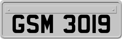 GSM3019