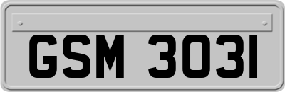 GSM3031