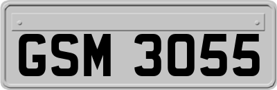 GSM3055