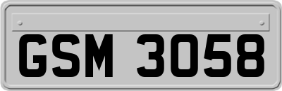 GSM3058