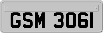 GSM3061