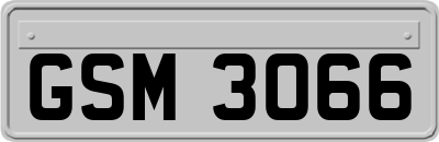 GSM3066