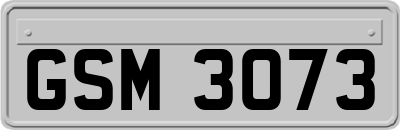 GSM3073