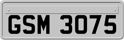 GSM3075